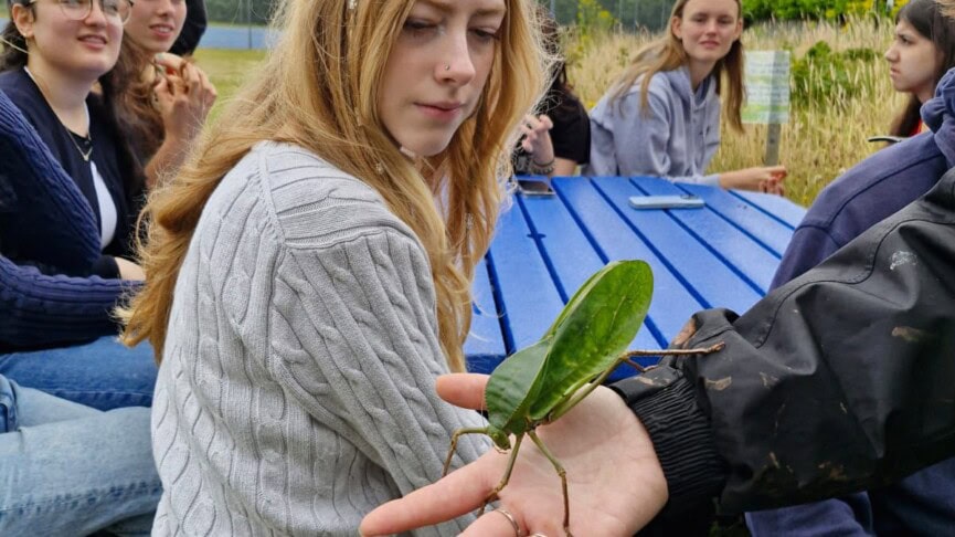 Girl And Giant Insect