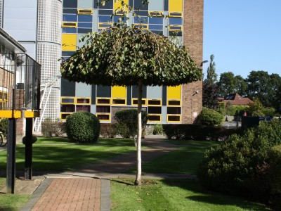 Photo of outside of Esher Sixth Form College