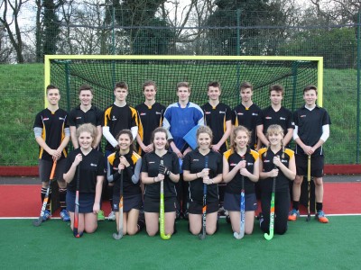 hockey mixed team low quality