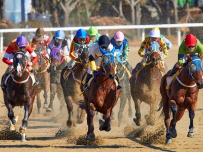 Horse Racing Photo