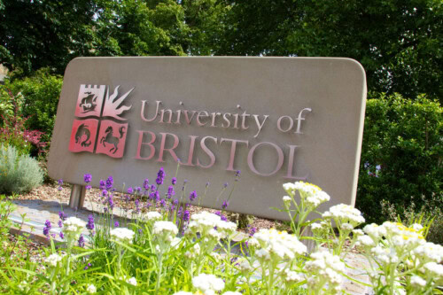 A stone sign, set amongst flowers saying University of Bristol.